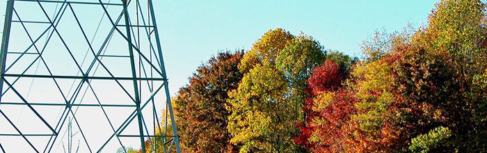 Scrap metal removal of power line towers